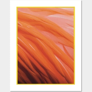 Flamingo Feathers Photograph Posters and Art